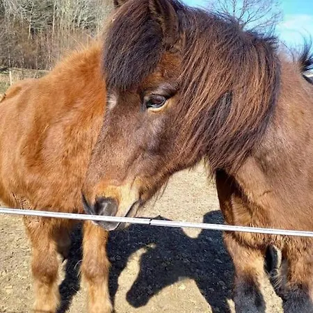 300 M To 220m2 Architect House *