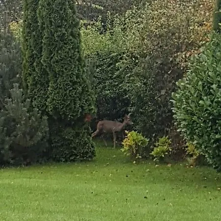 300 M To 220m2 Architect House * Tisvilde