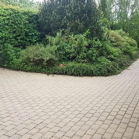 300 M To 220m2 Architect House Дом отдыха