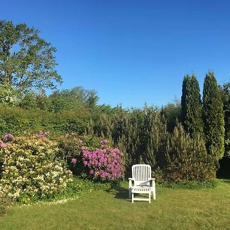 300 M To 220m2 Architect House