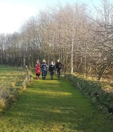 300 M To 220m2 Architect House *