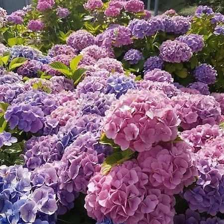 300 M To 220m2 Architect House Tisvilde