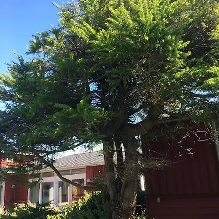 300 M To 220m2 Architect House Semesterbostad *