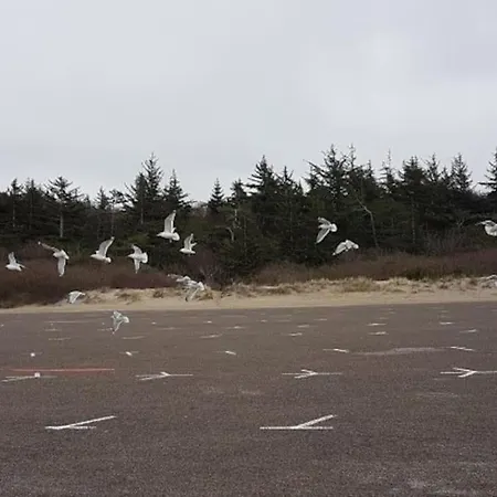 300 M To 220m2 Architect House Tisvilde