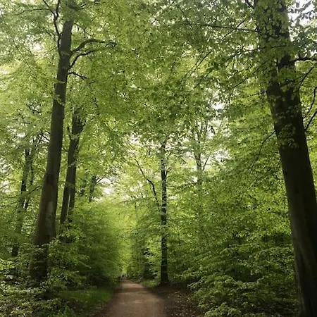 Semesterbostad 300 M To 220m2 Architect House