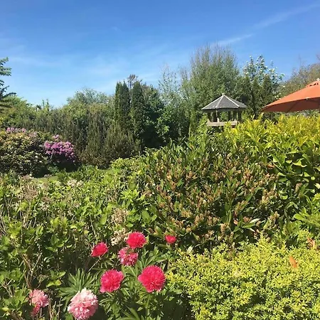 Vakantiehuis 300 M To 220m2 Architect House
